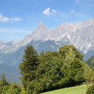 DSC_0707.jpg