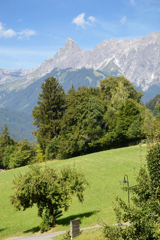 DSC_0707.jpg