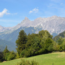DSC_0708.jpg