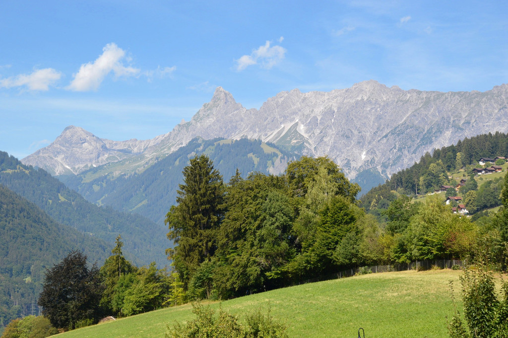DSC_0708.jpg