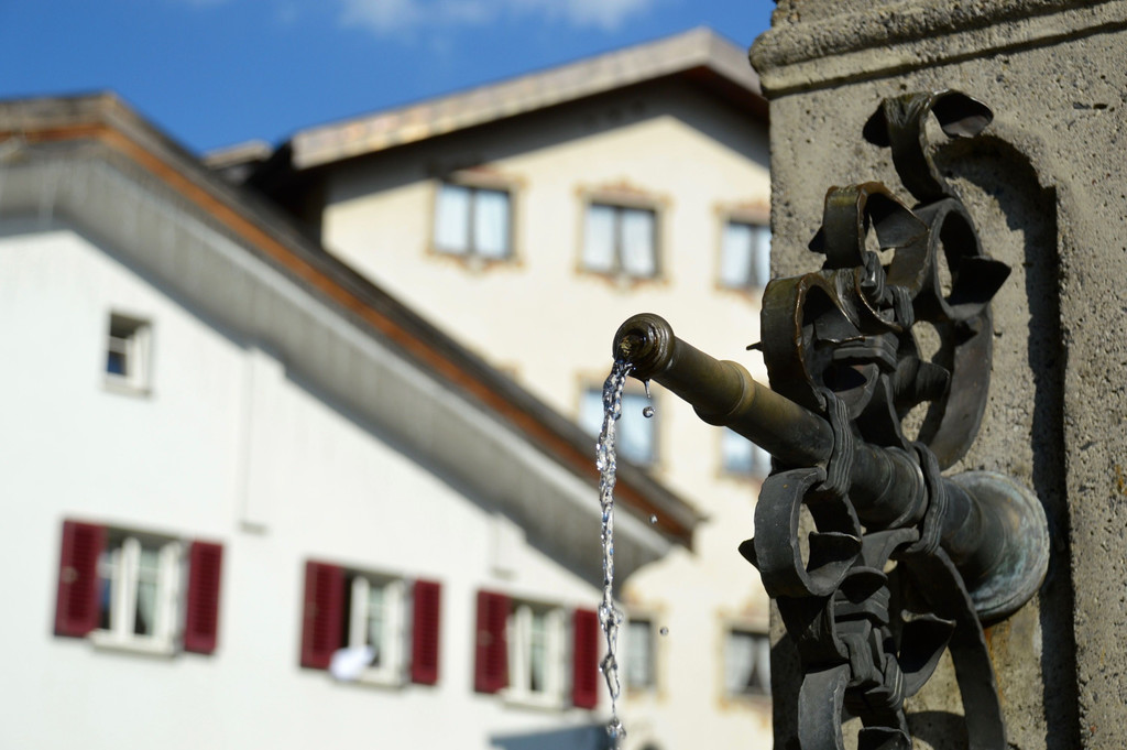 DSC_0803.jpg