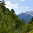 DSC_0842 _2_.jpg