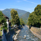 DSC_0955.jpg