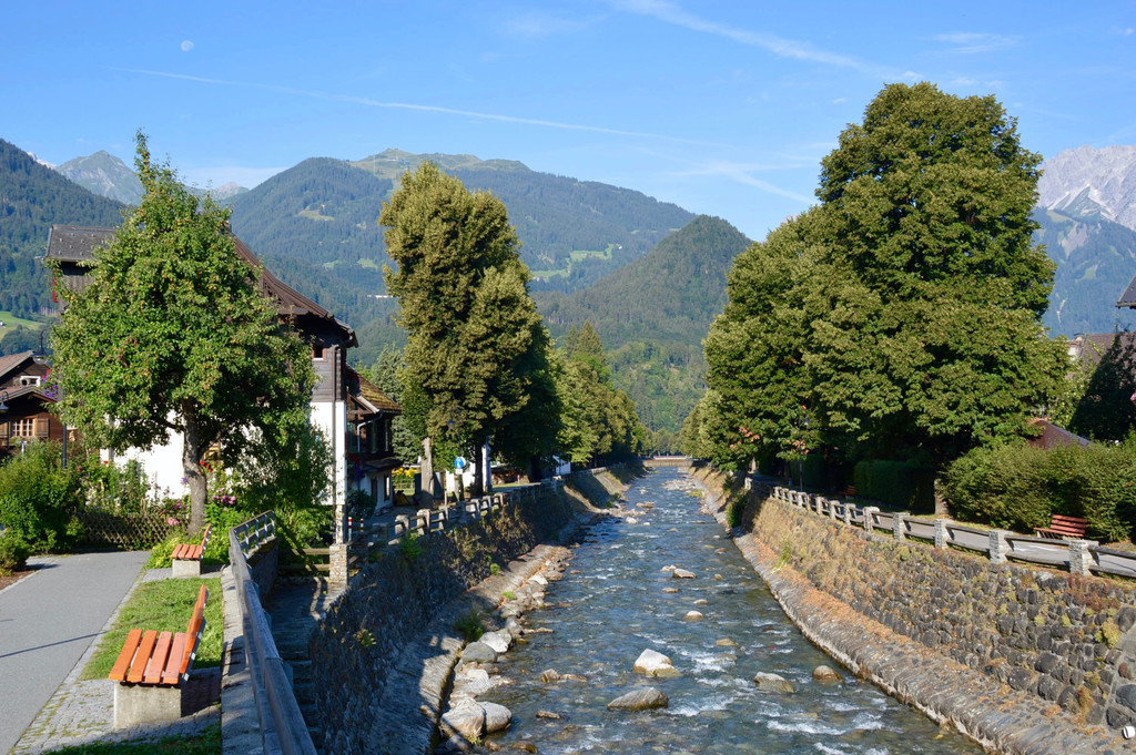 DSC_0955.jpg