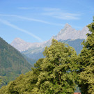 DSC_0959.jpg