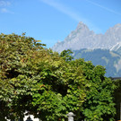 DSC_0965.jpg