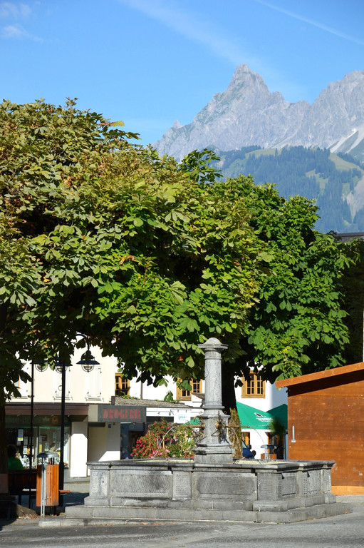 DSC_0965.jpg