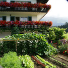 R__ns Vonb__hl G  _3_.JPG