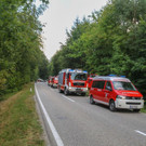 IMG_4537.jpg