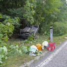 IMG_4539.jpg
