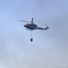 AFP_1861PO.jpg