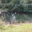 IMG_6989.JPG