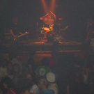 1216668.jpg