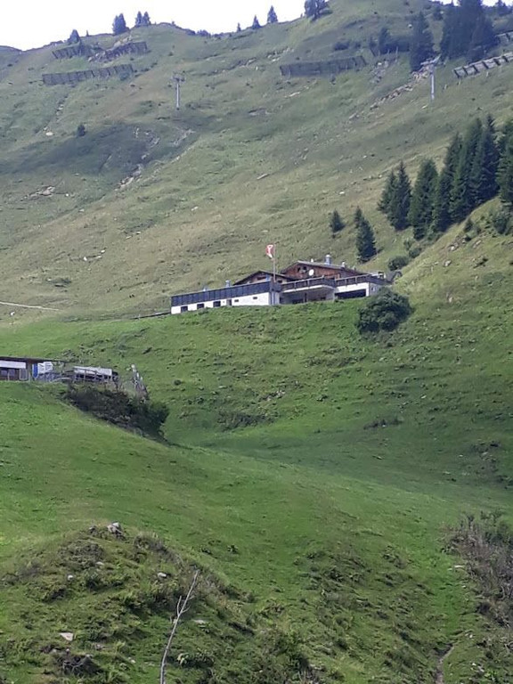 20180802_142901.jpg