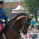 Gro__es Pferdefest __ SKB_Jutta Kirchner _1_.jpg