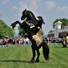 Gro__es Pferdefest __ SKB_Jutta Kirchner _2_.jpg