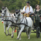 Gro__es Pferdefest __ SKB_Jutta Kirchner _4_.jpg