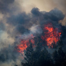 AFP_188043.jpg