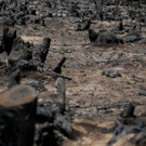 AFP_188047.jpg
