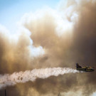 AFP_1877X8.jpg