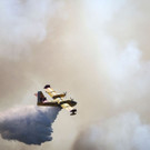 AFP_187897.jpg