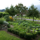 Satteins Tschann G  _5_.JPG