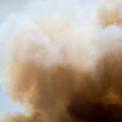 AFP_1877SQ.jpg