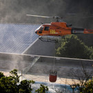 AFP_1876X4.jpg