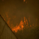 AFP_18715D.jpg