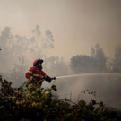 AFP_18715I.jpg