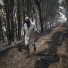 APTOPIX_Portugal_Wildfire_98377.jpg