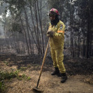 Portugal_Wildfire_64419.jpg