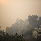Portugal_Wildfire_07034.jpg