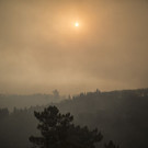 Portugal_Wildfire_44509.jpg