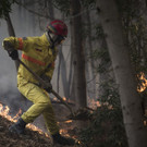 Portugal_Wildfire_70711.jpg