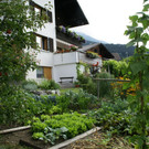 Satteins Tschann G  _6_.JPG