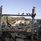 Indonesia_Earthquake_44368.jpg