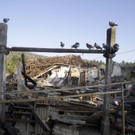 Indonesia_Earthquake_44368_1.jpg