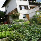 Satteins Tschann G  _7_.JPG