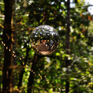 DSC_0093.JPG