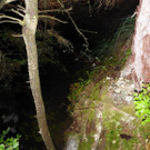 P1030426.jpg