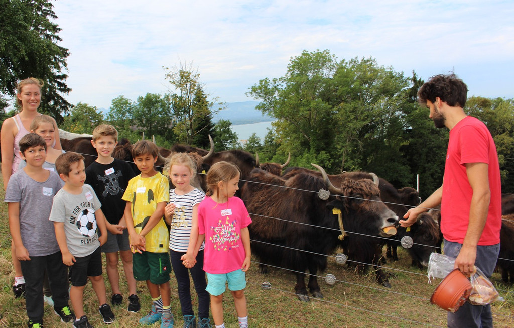 Ferienprogramm YAK-Hof in Halden 07-08-2018 _5_.JPG