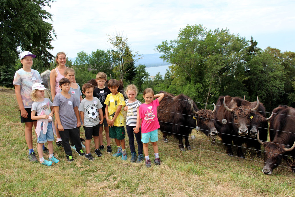 Ferienprogramm YAK-Hof in Halden 07-08-2018 _7_.JPG