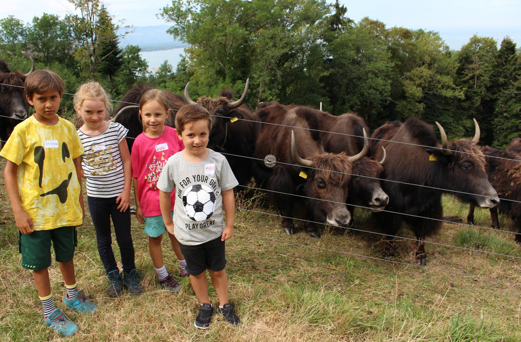 Ferienprogramm YAK-Hof in Halden 07-08-2018 _8_.JPG