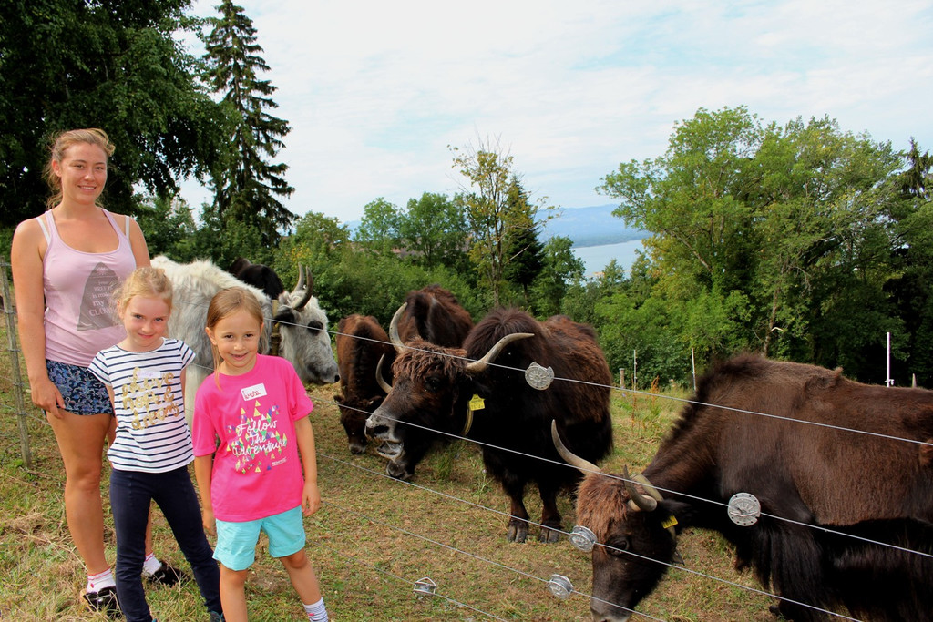 Ferienprogramm YAK-Hof in Halden 07-08-2018 _9_.JPG