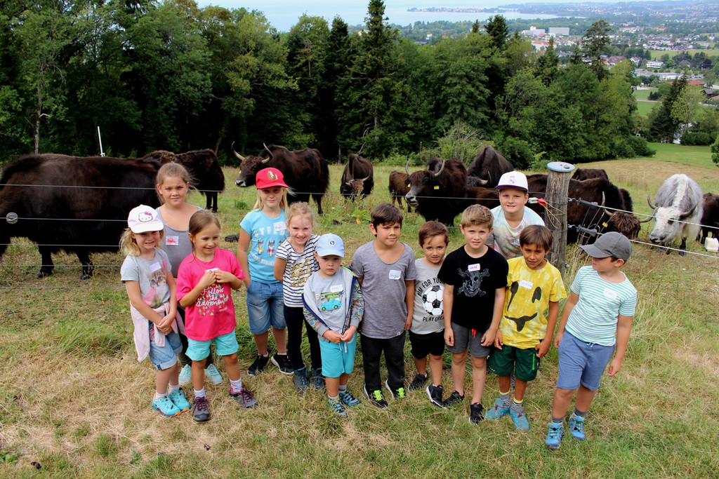 Ferienprogramm YAK-Hof in Halden 07-08-2018 _3_.JPG