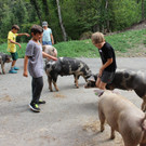 Ferienprogramm YAK-Hof in Halden 07-08-2018 _11_.JPG