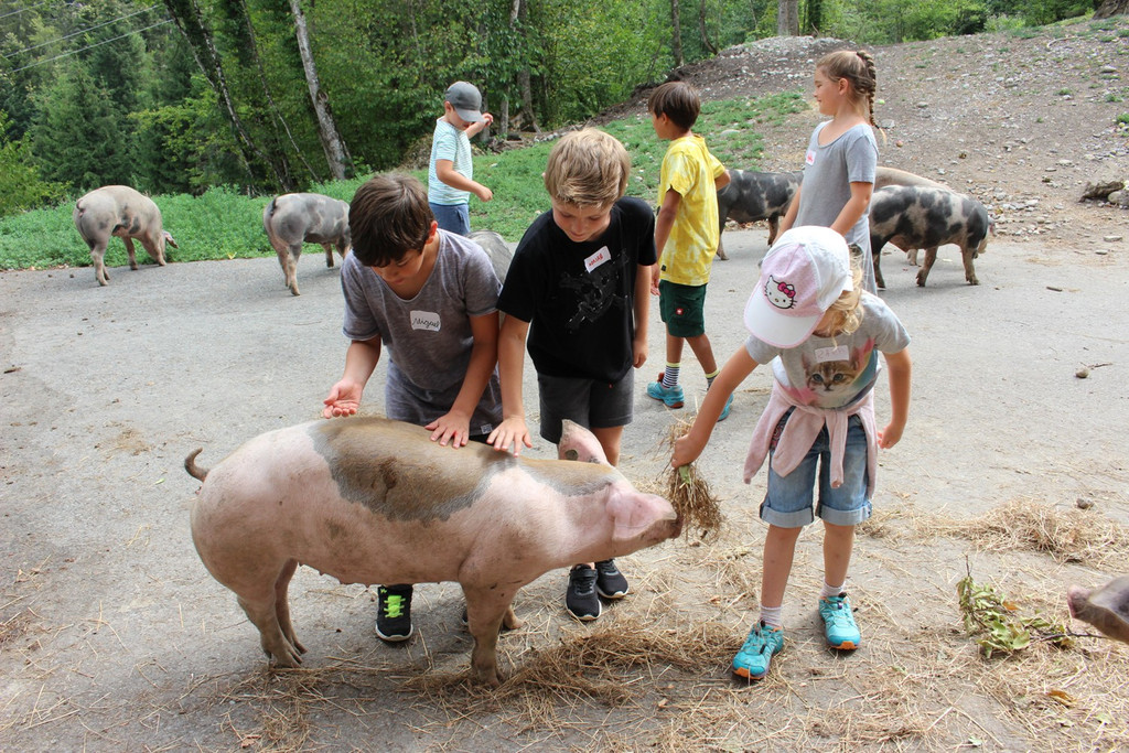 Ferienprogramm YAK-Hof in Halden 07-08-2018 _12_.JPG