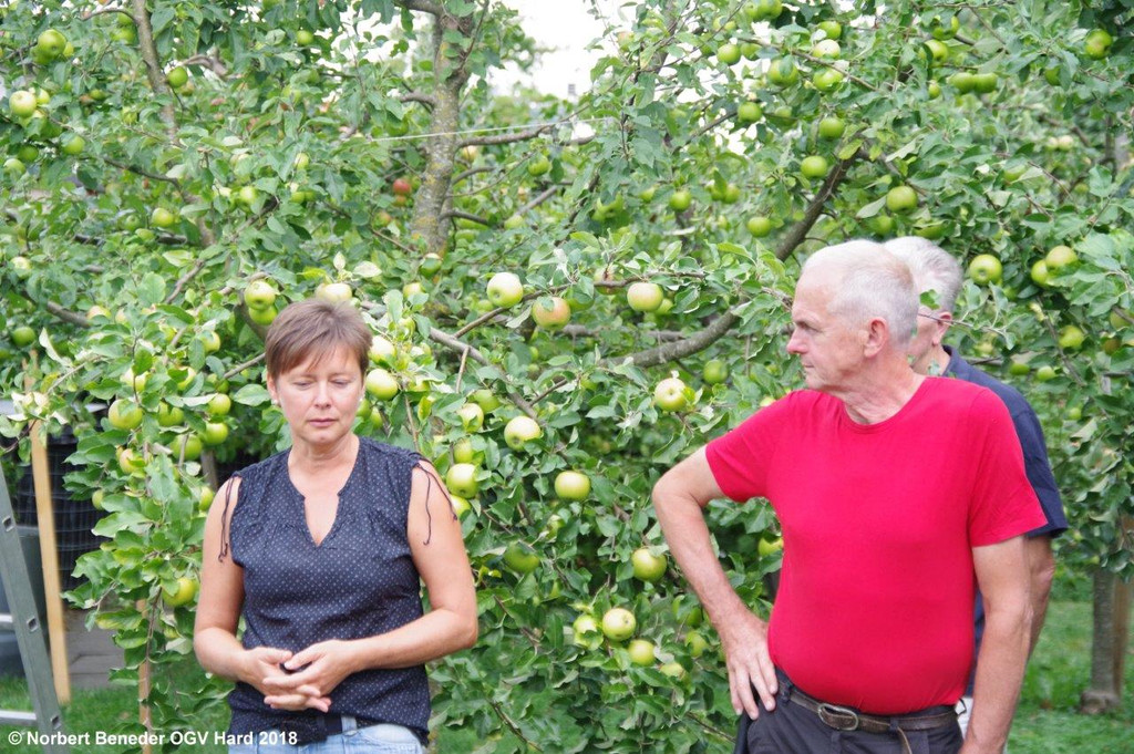 Sommerschnittkurs_2018_012.jpg
