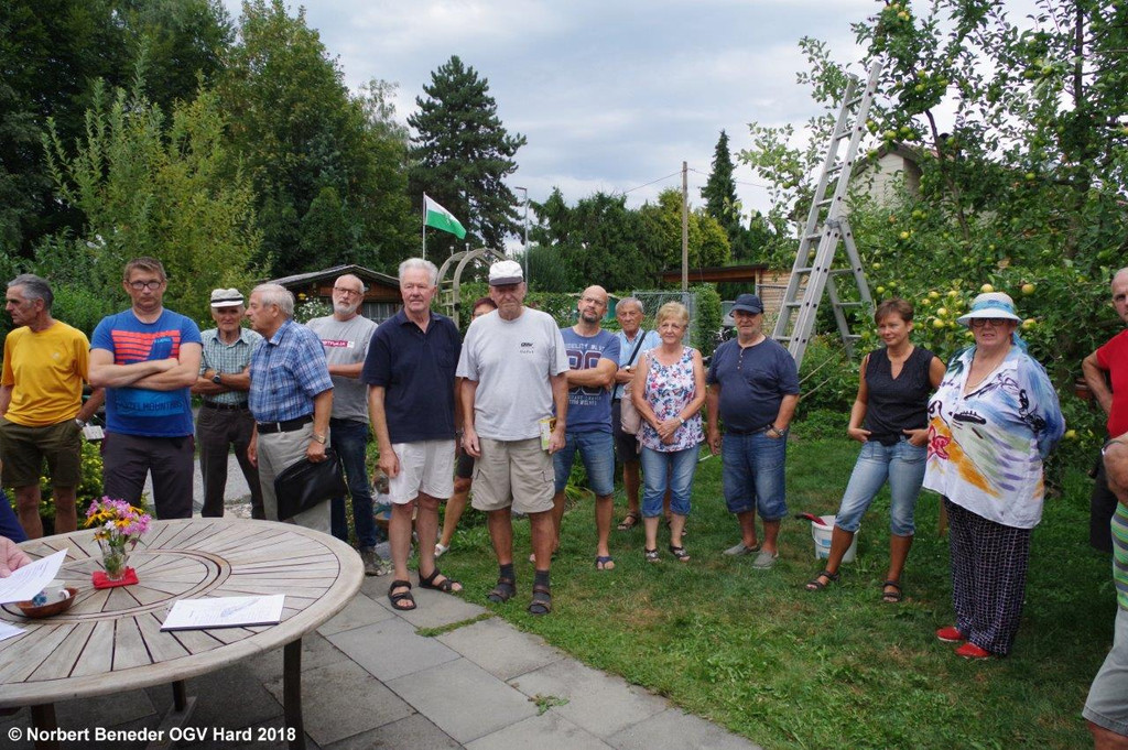 Sommerschnittkurs_2018_007.jpg